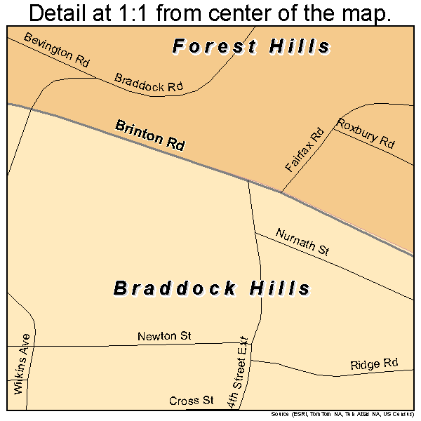 Braddock Hills, Pennsylvania road map detail