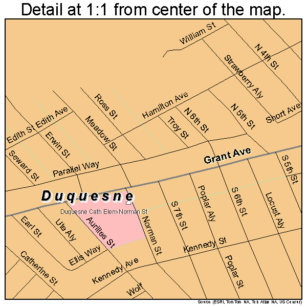 Duquesne, Pennsylvania road map detail