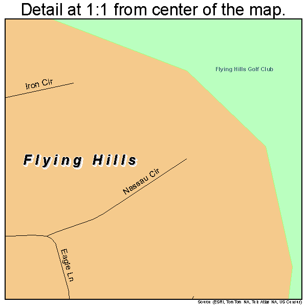 Flying Hills, Pennsylvania road map detail