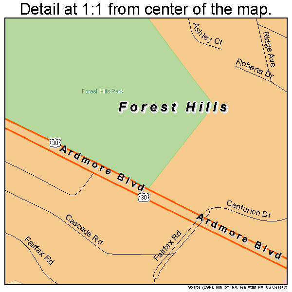 Forest Hills, Pennsylvania road map detail