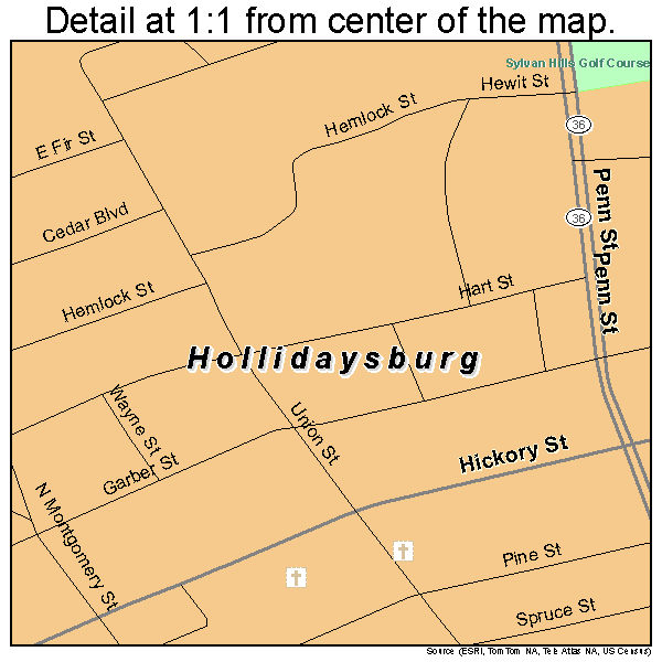 Hollidaysburg, Pennsylvania road map detail