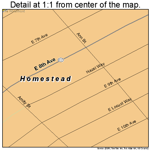 Homestead, Pennsylvania road map detail
