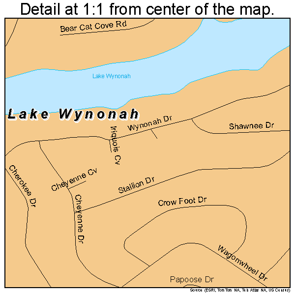 Lake Wynonah, Pennsylvania road map detail