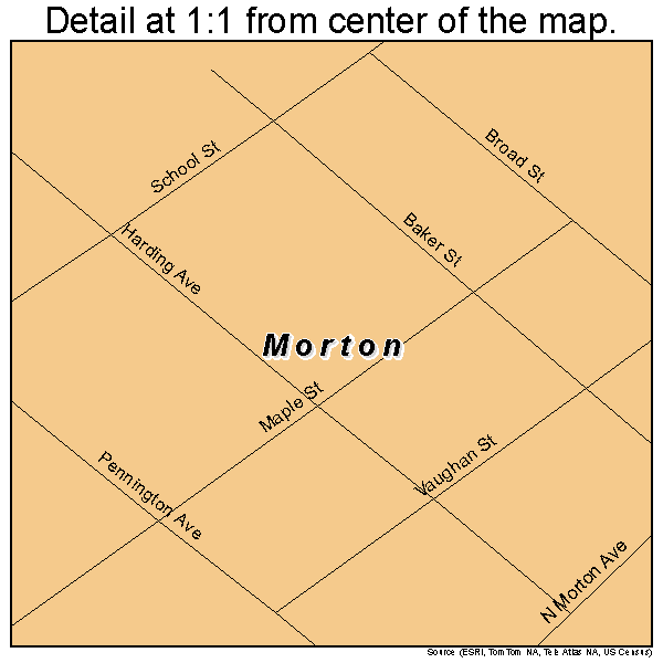 Morton, Pennsylvania road map detail