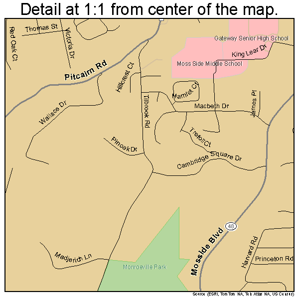 Municipality of Monroeville, Pennsylvania road map detail