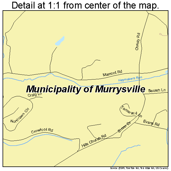 Municipality of Murrysville, Pennsylvania road map detail