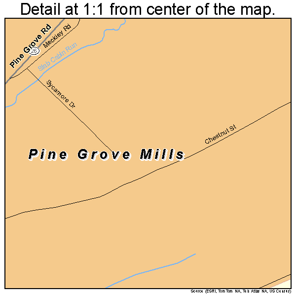 Pine Grove Mills, Pennsylvania road map detail
