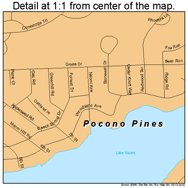 Pocono Pines, Pennsylvania road map detail