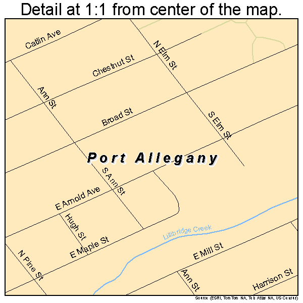 Port Allegany, Pennsylvania road map detail