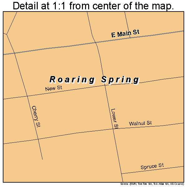 Roaring Spring, Pennsylvania road map detail