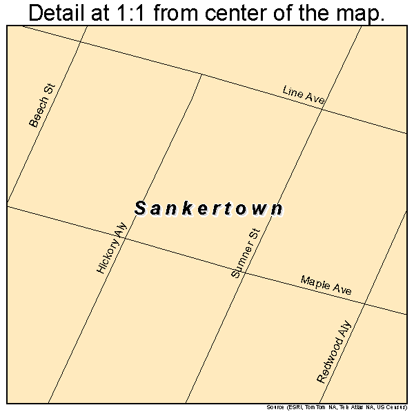 Sankertown, Pennsylvania road map detail