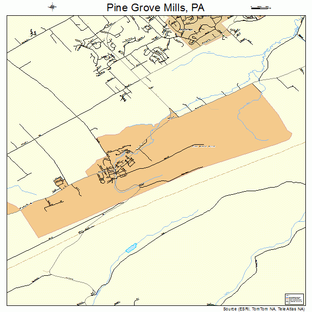 Pine Grove Mills, PA street map