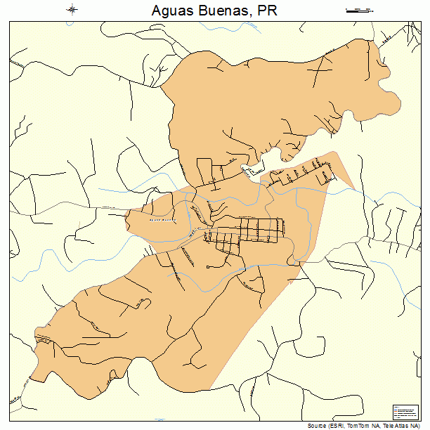 Aguas Buenas, PR street map