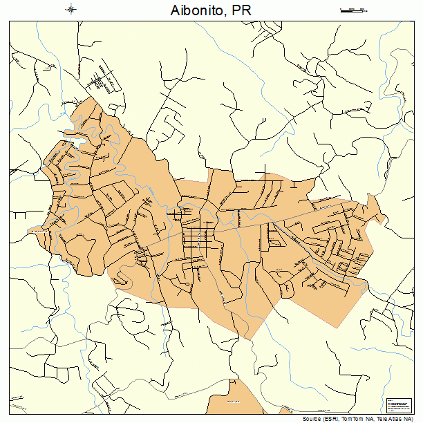 Aibonito, PR street map