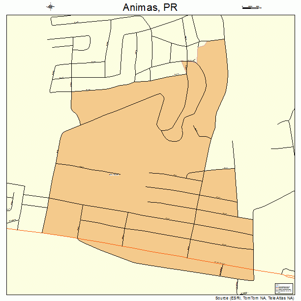 Animas, PR street map