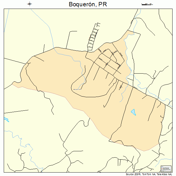 Boqueron, PR street map