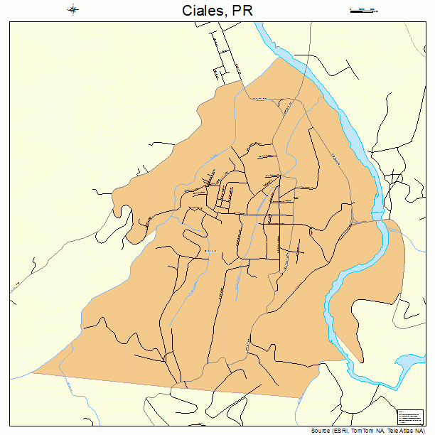 Ciales, PR street map