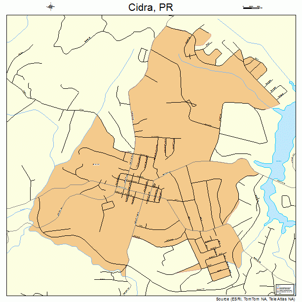 Cidra, PR street map