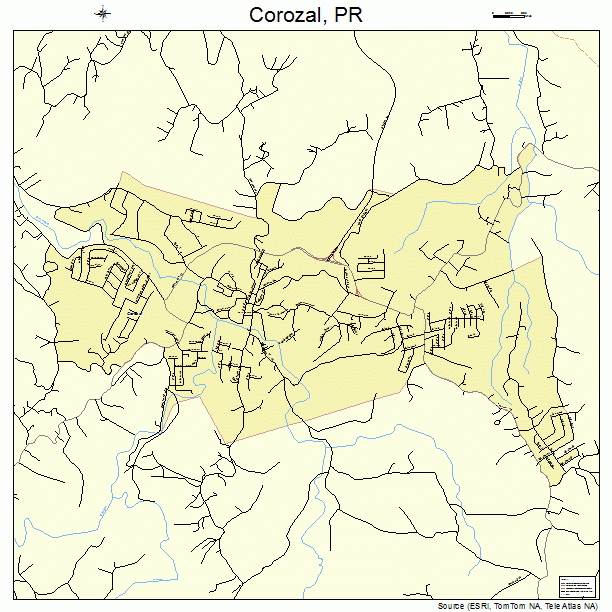 Corozal, PR street map