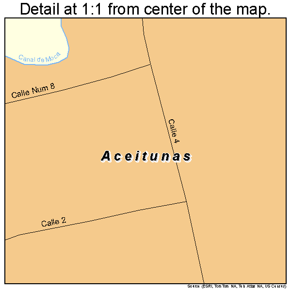 Aceitunas, Puerto Rico road map detail