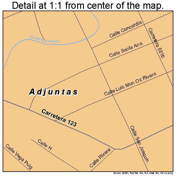 Adjuntas, Puerto Rico road map detail