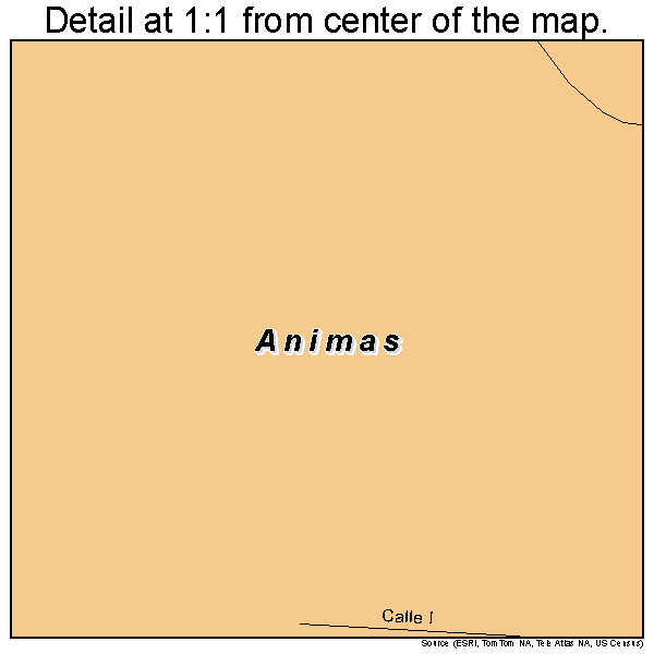 Animas, Puerto Rico road map detail