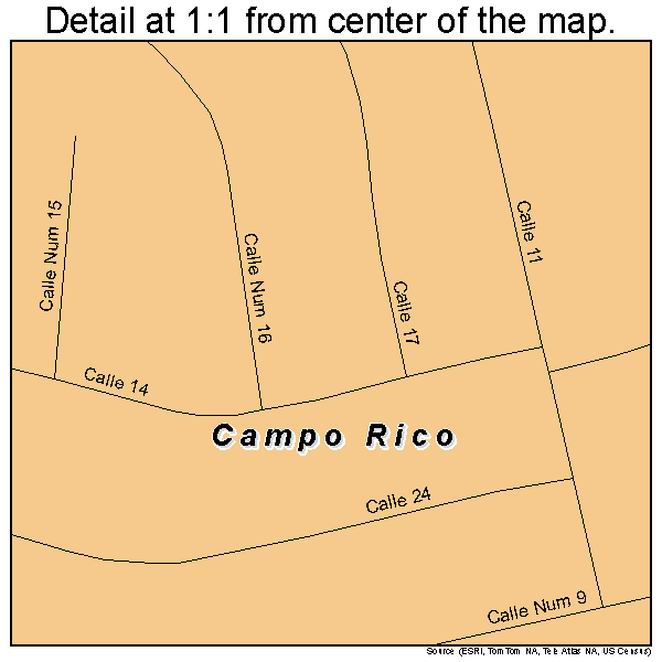 Campo Rico, Puerto Rico road map detail