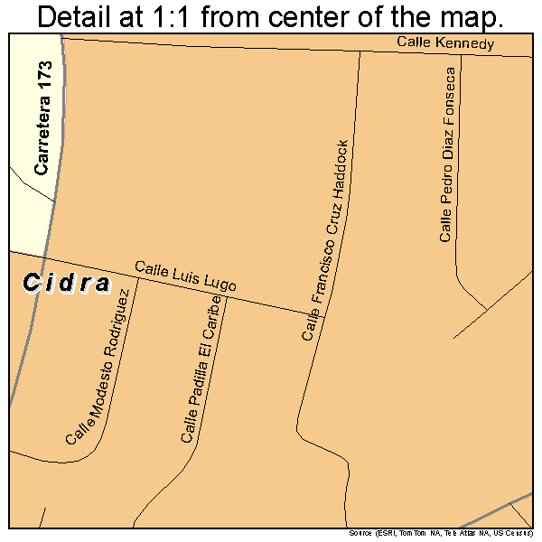 Cidra, Puerto Rico road map detail