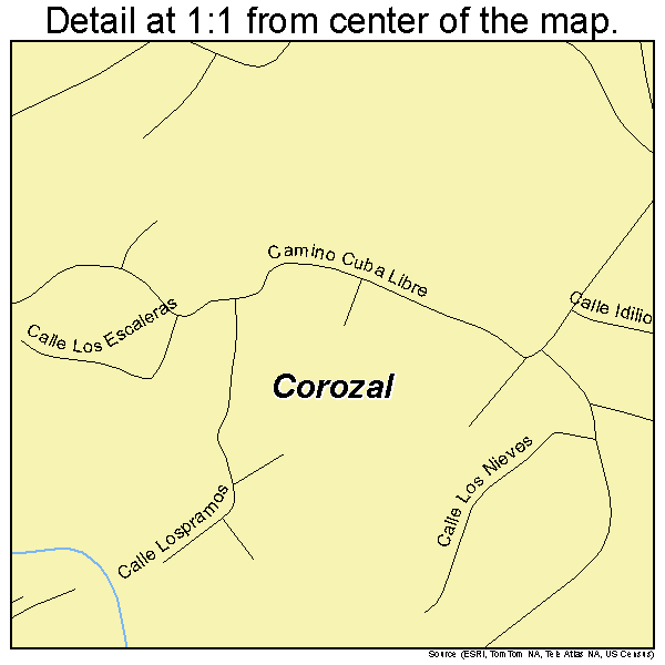 Corozal, Puerto Rico road map detail