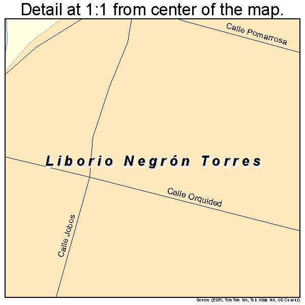 Liborio Negron Torres, Puerto Rico road map detail