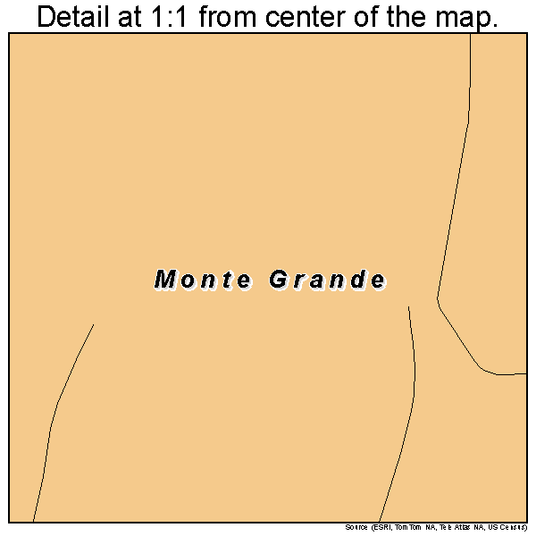 Monte Grande, Puerto Rico road map detail