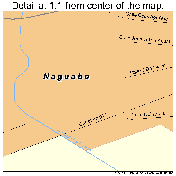 Naguabo, Puerto Rico road map detail