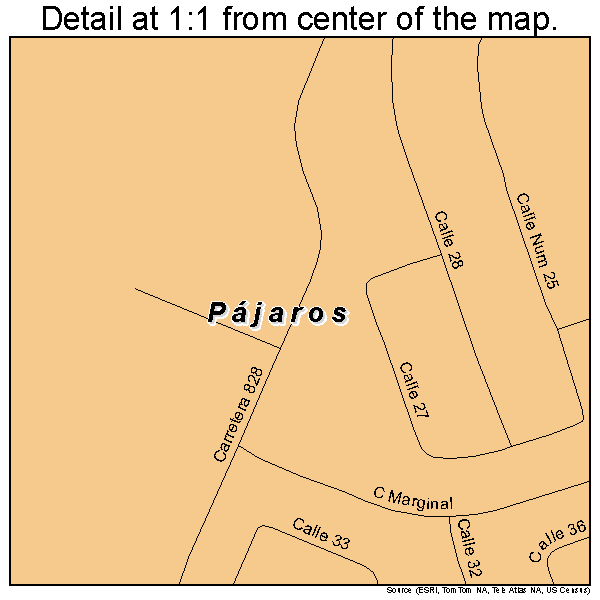 Pajaros, Puerto Rico road map detail