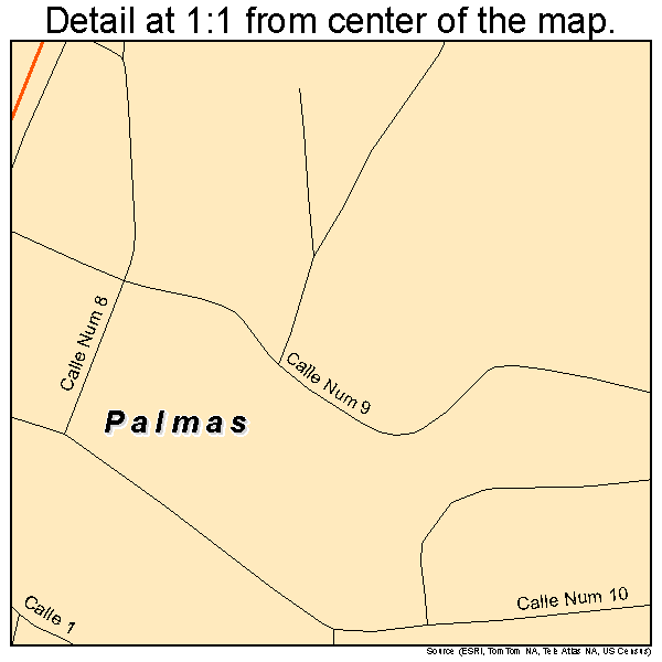 Palmas, Puerto Rico road map detail