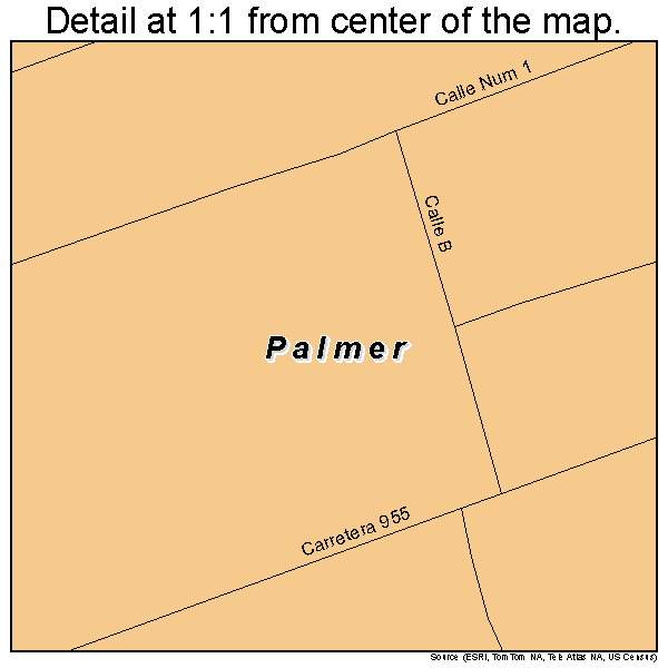 Palmer, Puerto Rico road map detail