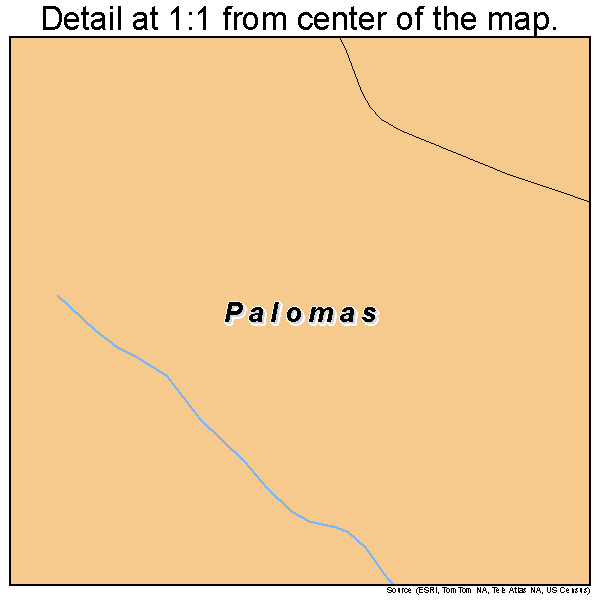 Palomas, Puerto Rico road map detail