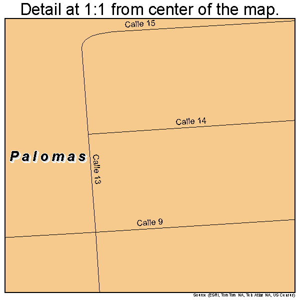 Palomas, Puerto Rico road map detail