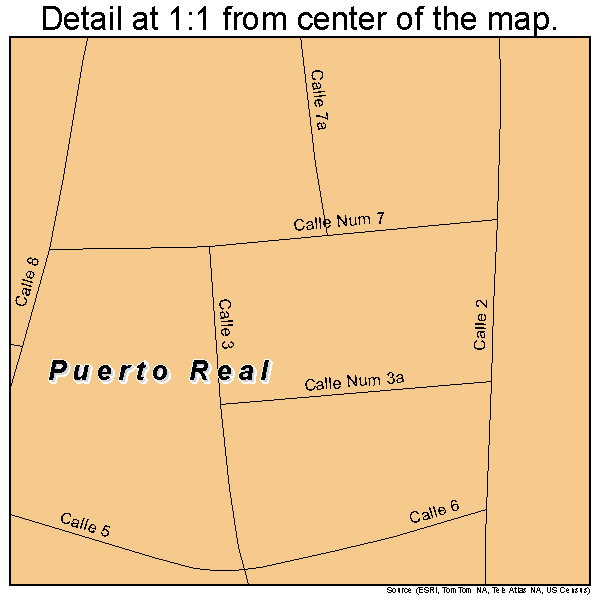 Puerto Real, Puerto Rico road map detail