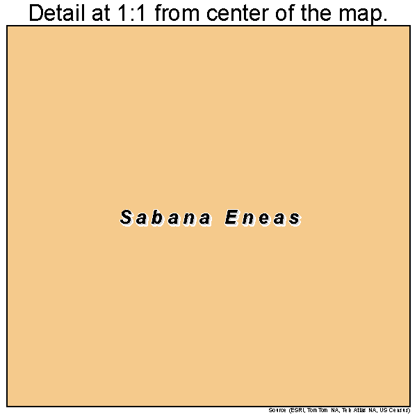 Sabana Eneas, Puerto Rico road map detail