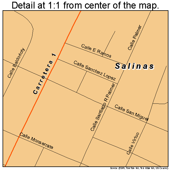 Salinas, Puerto Rico road map detail