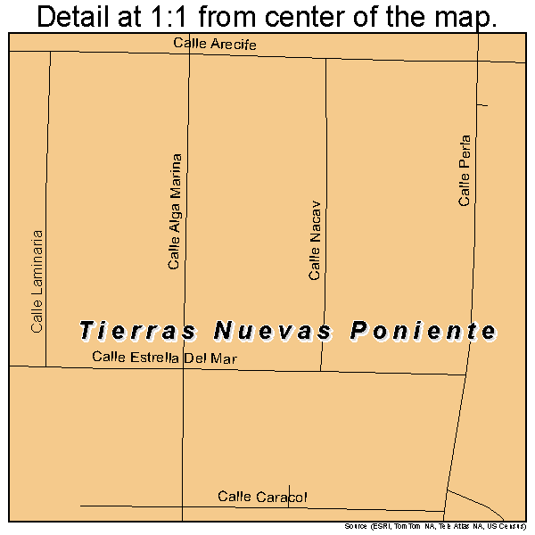 Tierras Nuevas Poniente, Puerto Rico road map detail