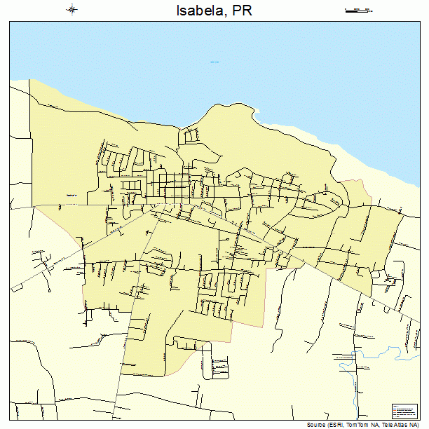 Isabela, PR street map