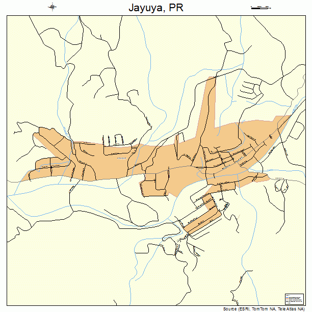 Jayuya, PR street map