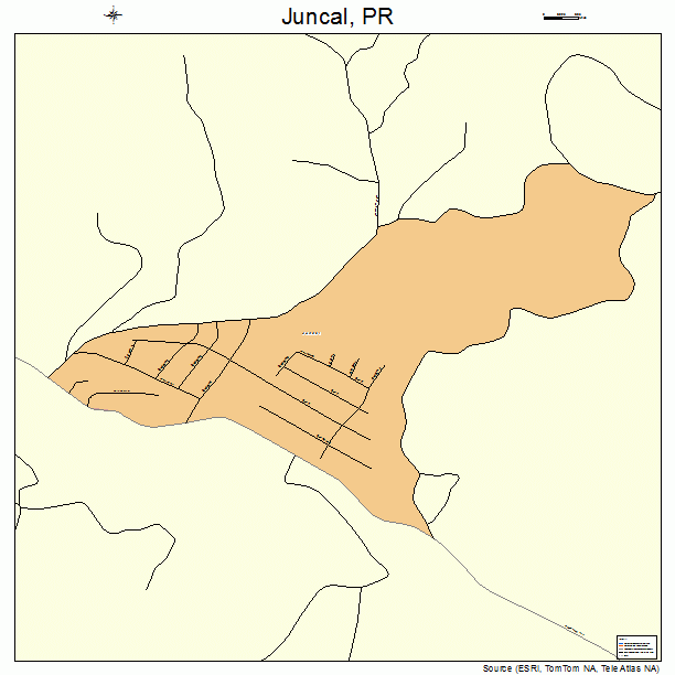 Juncal, PR street map