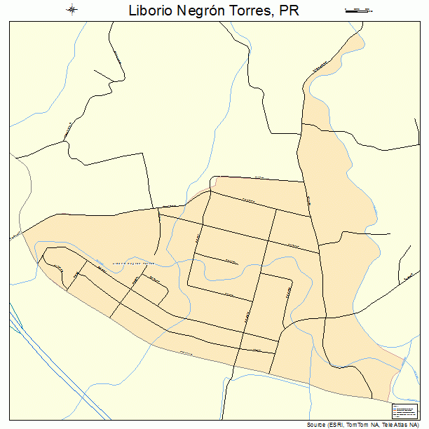 Liborio Negron Torres, PR street map