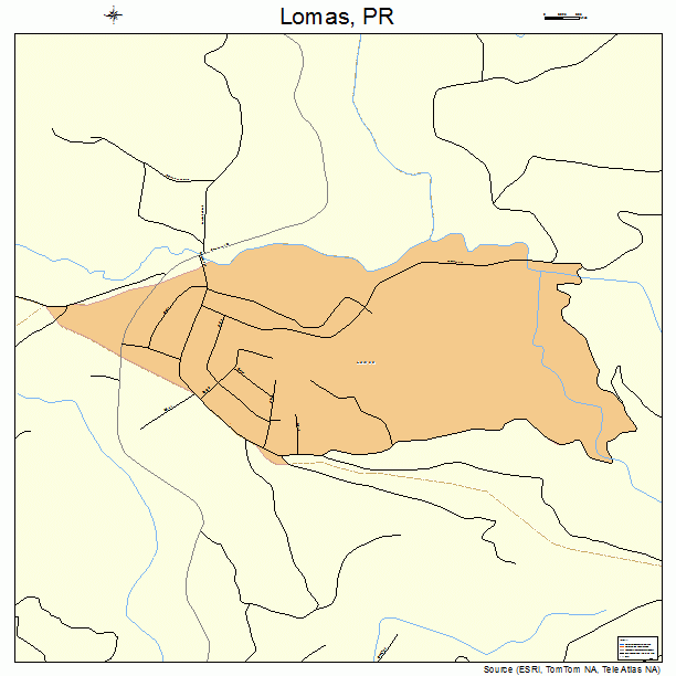 Lomas, PR street map
