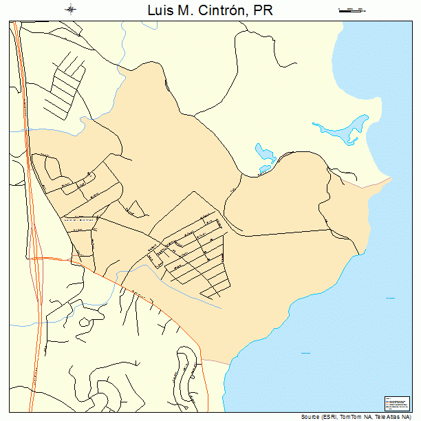 Luis M. Cintron, PR street map