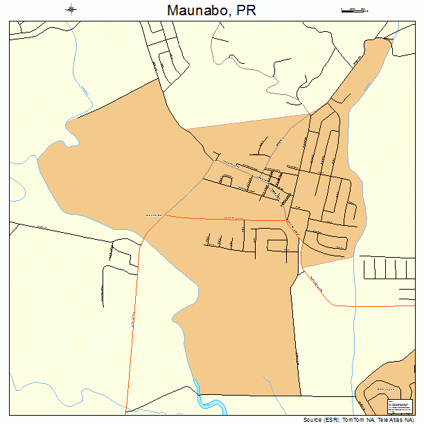 Maunabo, PR street map