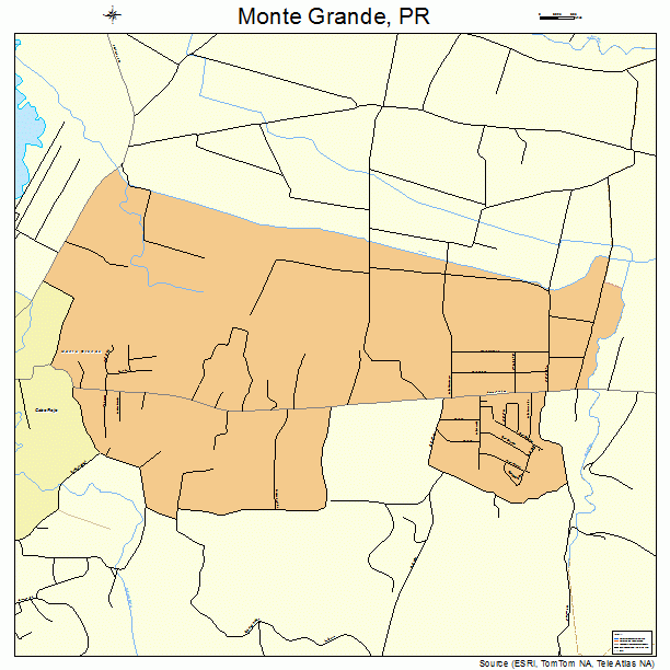 Monte Grande, PR street map