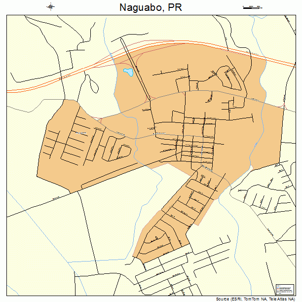 Naguabo, PR street map